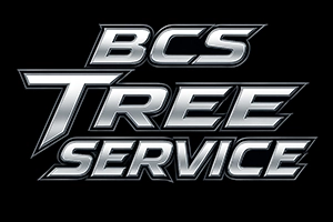 bcs tree service glen carbon il
