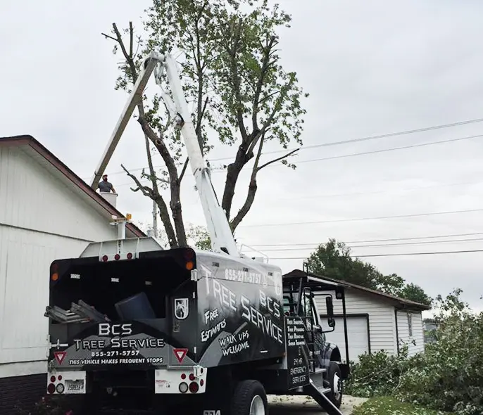 local tree professionals troy il