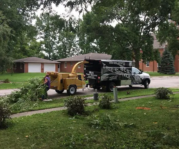 storm damage cleanup maryville il