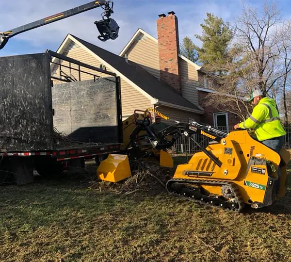 storm damage cleanup bethalto il