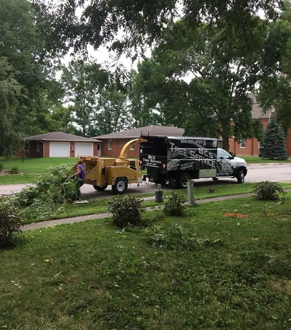 storm damage cleanup ofallon il