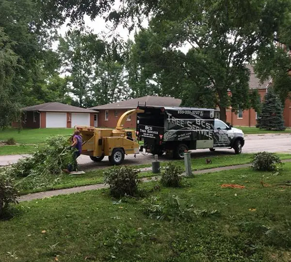 storm damage cleanup edwardsville il