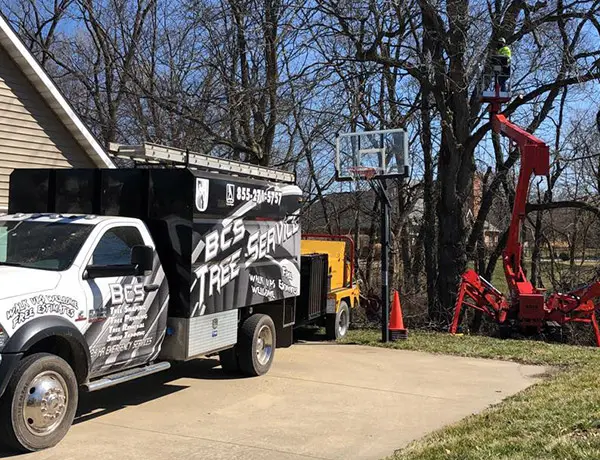 tree care granite city il