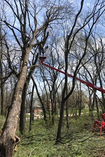 emergency storm cleanup glen carbon illinois