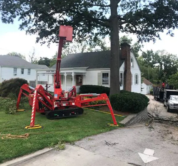 arborists glen carbon il