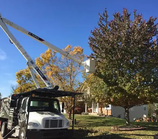 tree care professionals glen carbon illinois