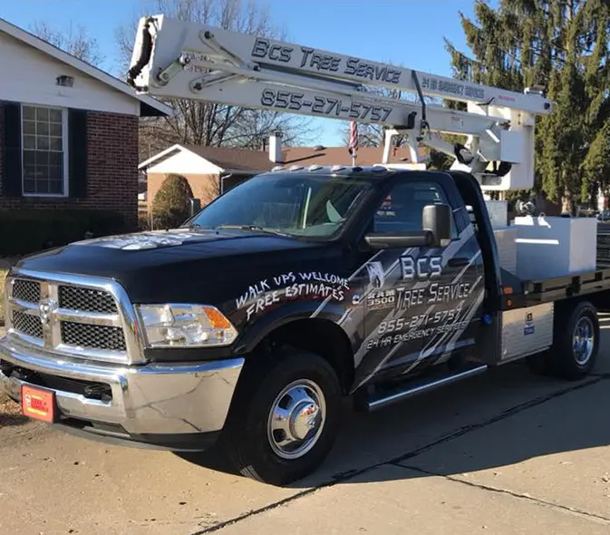 tree removal experts glen carbon illinois