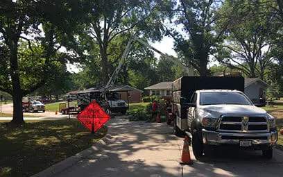 tree service company glen carbon il