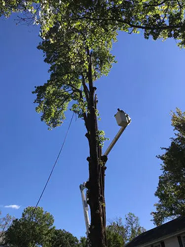 storm damage cleanup work near glen carbon illinois