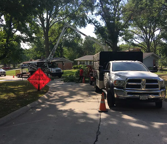 tree trimming highland il