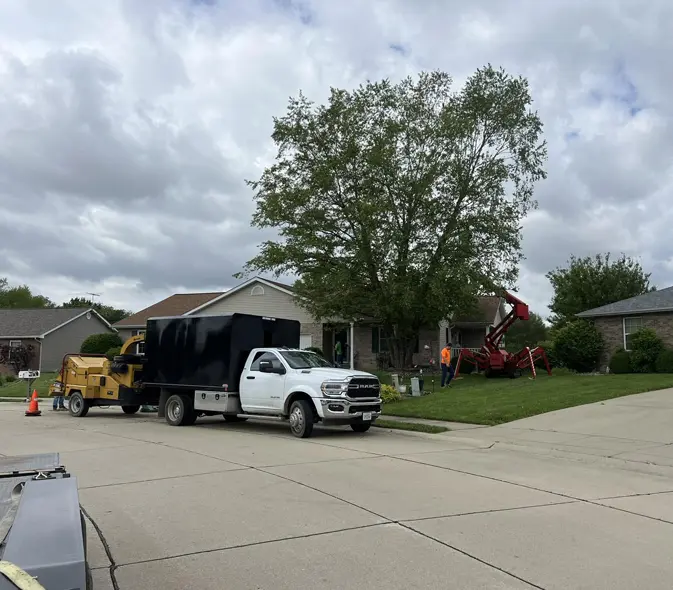 Arborist Tree Care Services