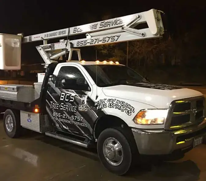 Commercial Tree Services