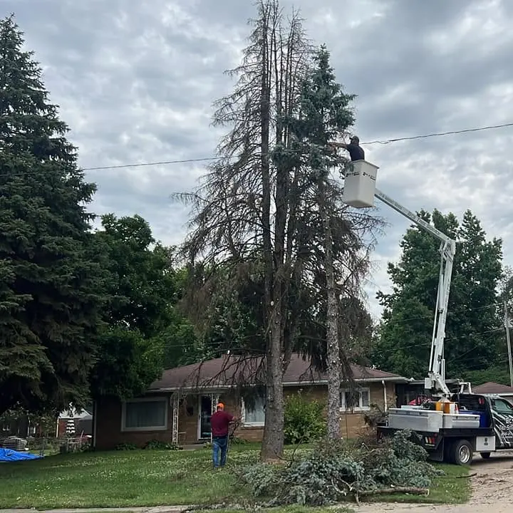 Emergency tree removal after storm damage in the Metro East region.