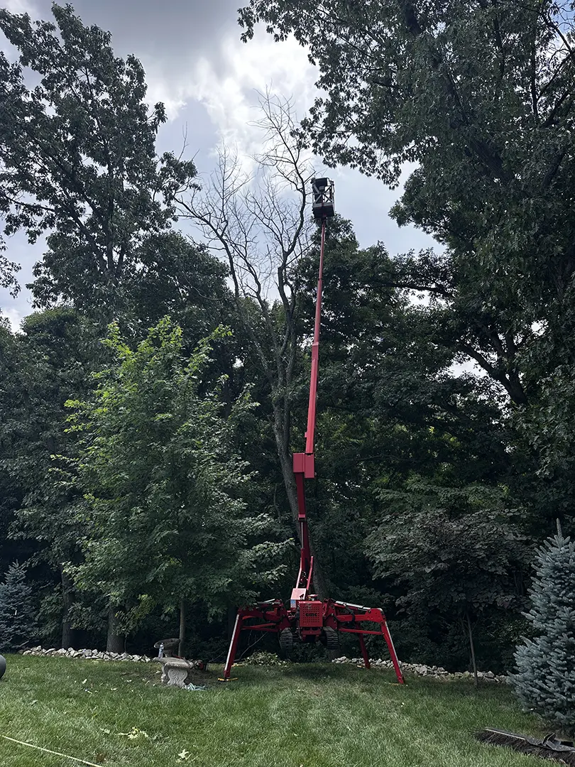 Large dead tree removal Grafton, IL residential property