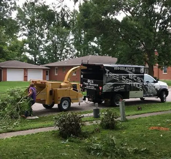 BCS Tree Service crew chipping branches and cleaning up after residential tree work in the Metro East.