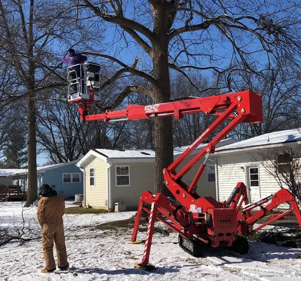 Tree worker pruning a large residential tree with a spider lift during winter in the Metro East.